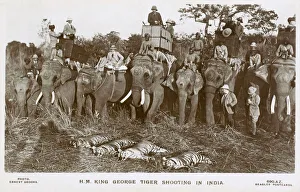 King George V shooting Tigers in India from a howdah King George V shooting Tigers in India from a howdah