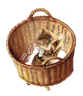 Kitten in a basket on a cutout Christmas card Kitten in a basket on a cutout Christmas card