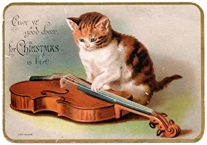 Kitten with a violin on a Christmas card Kitten with a violin on a Christmas card