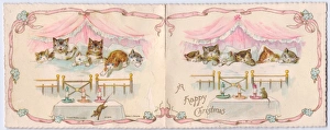 Six kittens in bed on a Christmas card Six kittens in bed on a Christmas card
