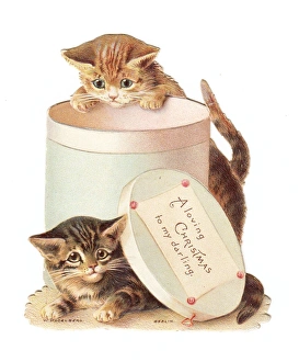 Two kittens playing with a hatbox on a Christmas card Two kittens playing with a hatbox on a Christmas card