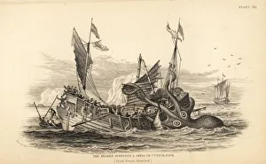 Kraken attacking a fishing boat off the coast of Angola Kraken attacking a fishing boat off the coast of Angola