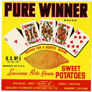 Label design, Pure Winner Sweet Potatoes Label design, Pure Winner Sweet Potatoes