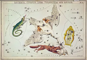 Lacerta, Cygnus, Lyra, Vulpecula and Anser Lacerta, Cygnus, Lyra, Vulpecula and Anser
