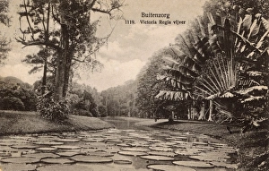 Lake in a park, Buitenzorg, West Java, Indonesia Lake in a park, Buitenzorg, West Java, Indonesia