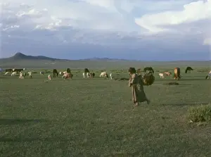 Mongolian Landscape Prints: Landscape at Burd, Mongolia