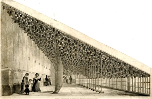 Large Vine House, Hampton Court Palace, London Large Vine House, Hampton Court Palace, London