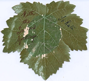 Leaf-shaped reversible Christmas card Leaf-shaped reversible Christmas card
