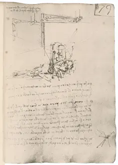 Leonardo Da Vinci Prints: Leonardo Da Vinci's Flying Machine Print
