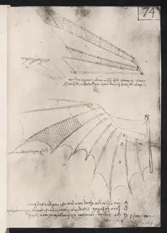 Leonardo Da Vinci Prints: Leonardo Da Vinci's Flying Machine Print