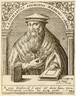 16th Century Botany Prints: Leonhard Fuchs