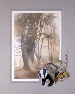 Airbrush Print of Autumn Wood with Badger Border