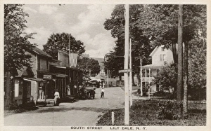 Lily Dale, NY, USA - South Street Lily Dale, NY, USA - South Street
