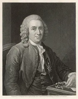 Carl Linnaeus Prints: Linnaeus / Pasch