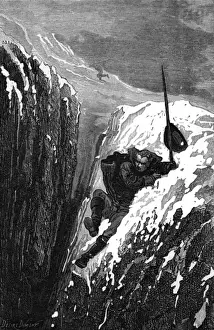 Swedish Naturalist Prints: Linnaeus Slips