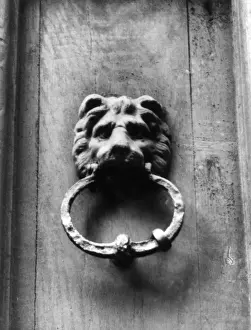 Lion Door Knocker Prints: Lion Doorknocker