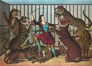 Circus Performer Prints: The lion queen