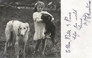 Little girl with a cat and a dog in a garden Little girl with a cat and a dog in a garden