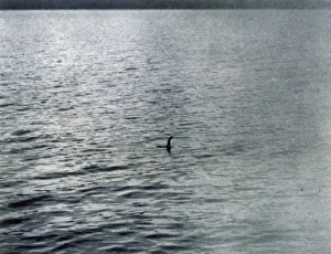 Loch Ness Monster