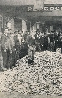 London - Billingsgate Fish Market - Standing amid the catch London - Billingsgate Fish Market - Standing amid the catch