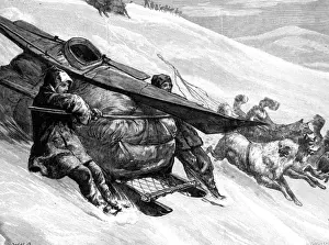 Arctic Expedition History Prints: De Long / Sledging Downhil