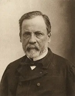 Louis Pasteur Prints: Louis Pasteur Print, c. 1900s