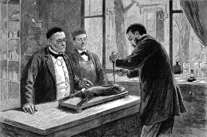 Louis Pasteur experimenting on a chloroformed rabbit Louis Pasteur experimenting on a chloroformed rabbit