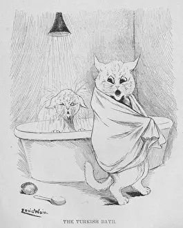 Louis Wain Print - Two Cats in a Turkish Bath, circa 1900s