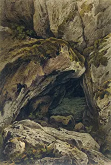 Historical Plants Prints: Luminous Moss