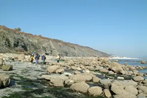 Lyme Regis Lower Jurassic Cliffs Print, Dorset Coastline