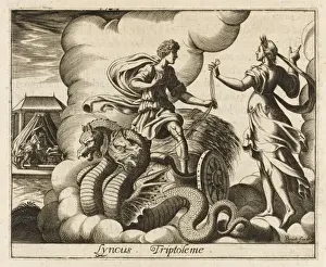 Print of Lyncus Transformed into a Lynx