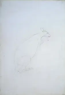 Related Image Prints: Kangaroo Zoological Print (1:4)