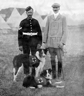 Major Richardson and his ambulance dogs Major Richardson and his ambulance dogs