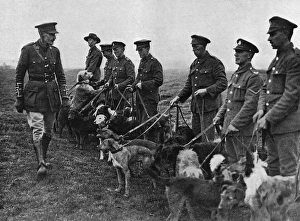 Major Richardson and his messenger dogs Major Richardson and his messenger dogs