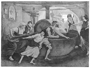 Olive Oil Production Prints: Making Olive Oil