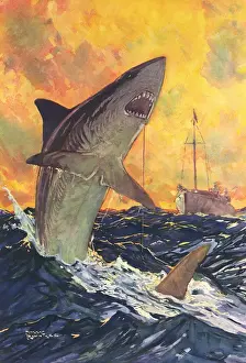 Mako Shark Prints: A Mako Shark Hooked Print, 1928