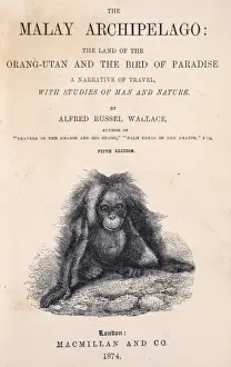 Alfred Russel Wallace Prints: The Malay Archipelago