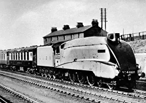 Print of The Mallard, LNER locomotive