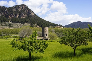 Mallorca, Spain, Valldemossa - old windmill tower Mallorca, Spain, Valldemossa - old windmill tower