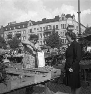 Malmo market