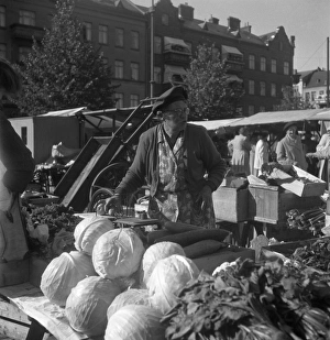 Malmo market