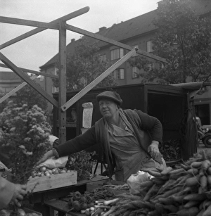 Malmo market