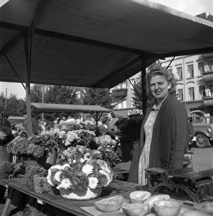 Malmo market