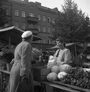 Malmo market