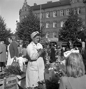 Malmo market