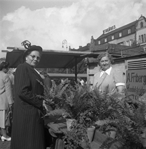 Malmo market