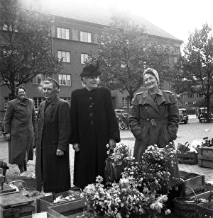 Malmo market