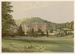 South West England Views Prints: Mamhead, Devon