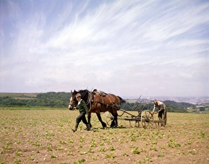 Man and boy, seed drill, field near Plymouth, Devon Man and boy, seed drill, field near Plymouth, Devon