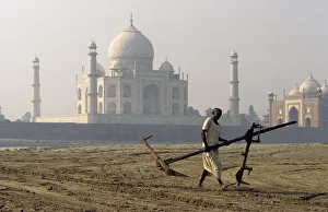A man carries plough, Taj Mahal, India A man carries plough, Taj Mahal, India